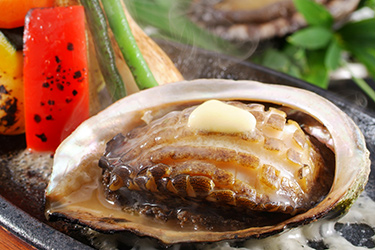 Black abalone Steak