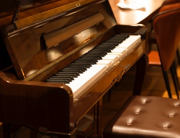 PETROF Automatic performance piano